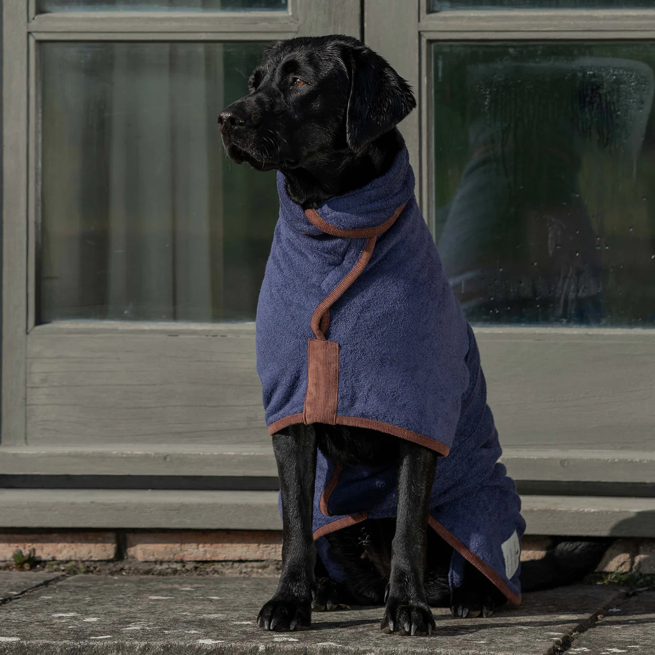 Dog drying coat French Navy